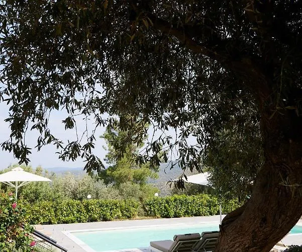 Sithonian Neos Marmaras