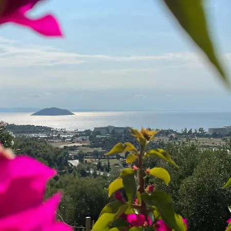 Villa Sithonian Neos Marmaras